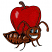 C1: Apple---Poinsettia(Isacord 40 #1147)&#13;&#10;C2: Apple Highlights---Strawberry(Isacord 40 #1257)&#13;&#10;C3: Apple Stem---Pine Bark(Isacord 40 #1170)&#13;&#10;C4: Apple Shading & Ant---Light Cocoa(Isacord 40 #1158)&#13;&#10;C5: Apple & Ant Highlight