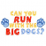 C1: "Can You" & "With The"---Lemon(Isacord 40 #1167)&#13;&#10;C2: "Run" & "Big"---Spanish Tile(Isacord 40 #1020)&#13;&#10;C3: "Dogs"---Laguna(Isacord 40 #1143)&#13;&#10;C4: Paw Prints---Winter Sky(Isacord 40 #1165)&#13;&#10;C5: Paw Print Outlines---Laguna