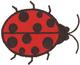 Ladybug