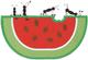 Ants W/ Watermelon Applique