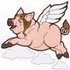 Flying Pig