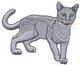 Russian Blue