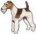 Fox Terrier