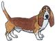 Basset Hound