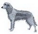 Irish Wolfhound