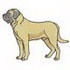 Bullmastiff