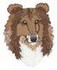 Rough Collie