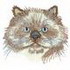 Persian Cat Head 98