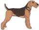 Airedale Terrier