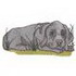 Weimaraner