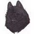 Schipperke