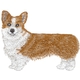 Pembroke Welsh Corgi