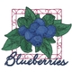 Blueberries