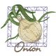 Onion