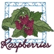 Raspberries