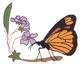 Monarch W/flowers