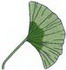 Gingko Leaf