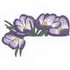 Crocus Pocket Topper