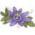 Passion Flower