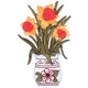 Daffodils In Pot