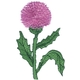 Thistle