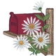 Daisies & Mailbox