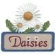 Daisies