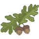 Acorns W/oak Leaves