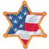 Badge W/ Flag