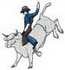 Bull Rider