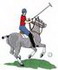 Polo Player