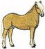 Haflinger