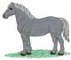 Percheron