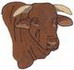 Santa Gertrudis Bull