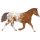 Appaloosa