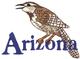 Cactus Wren