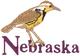 Western Meadowlark