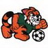 Tiger Soccer