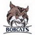 Bobcats