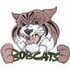 Bobcats