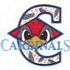 Cardinal Applique W/ Accents