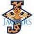 Jaguars Applique W/ Accents