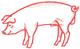 Large Pig Outline