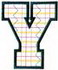 Plaid Letter Y