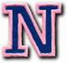 "N" Small Athletic Letter