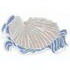 Paper Nautilus