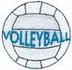 Volleyball Logo