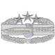 Combat Action Badge 4th Award