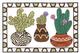 Pottery W/ Cacti