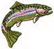 Rainbow Trout